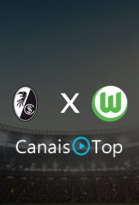 Freiburg x Wolfsburg – Ao Vivo – 28/10/2026 – 14h00