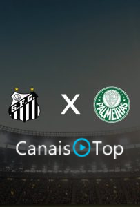Santos x Palmeiras – Ao Vivo – 28/10/2026 – 19h30